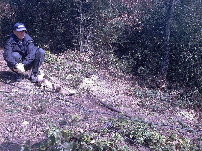 Foto 16 di 30