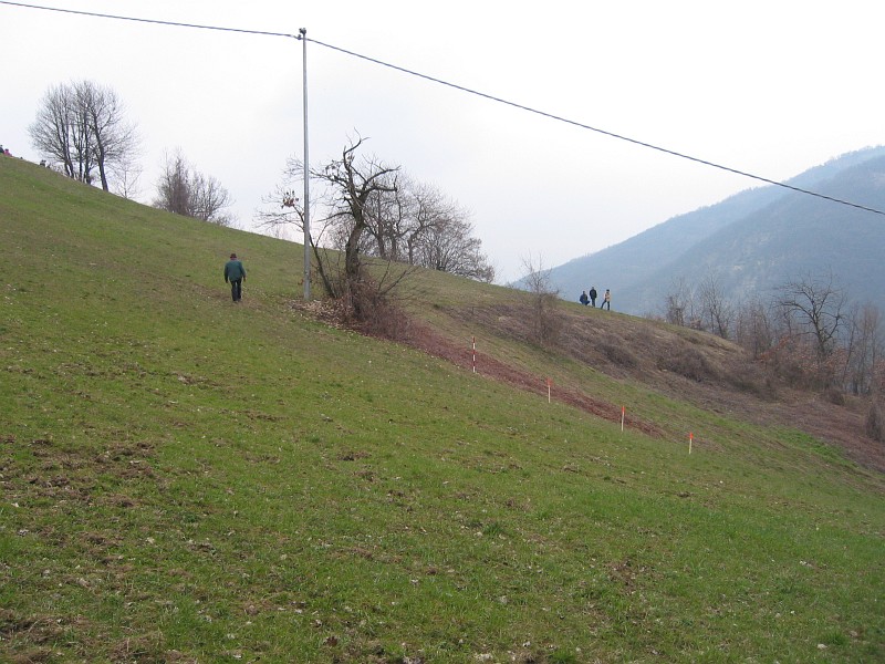 Foto 14 di 30