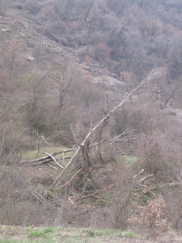 Foto 17 di 30