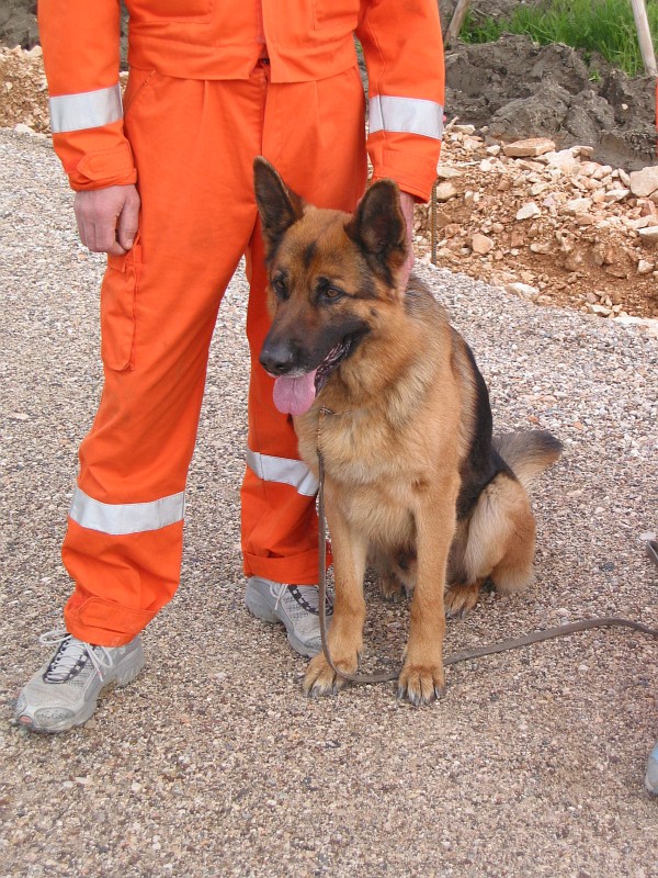 Foto 06 di 15