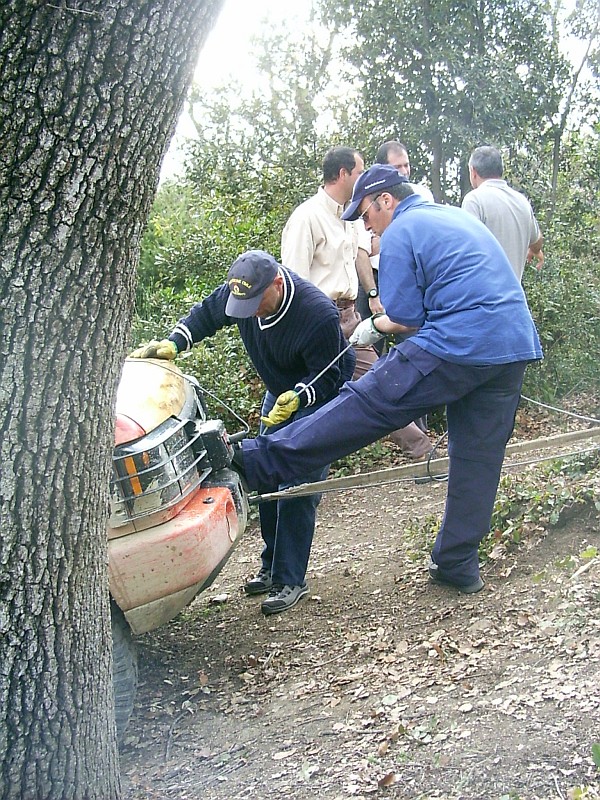 Foto 05 di 15