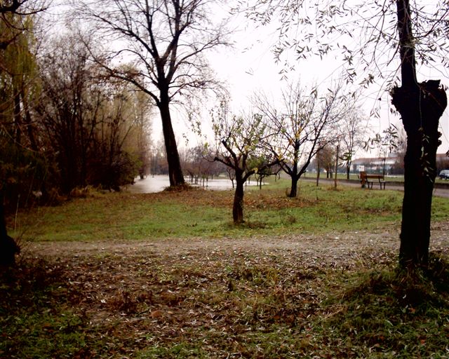 Foto 03 di 10
