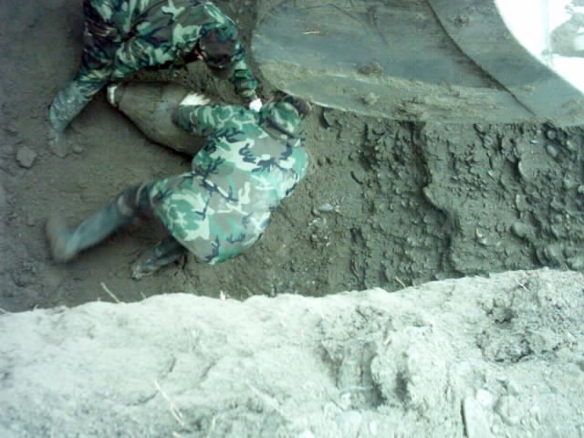Foto 09 di 15