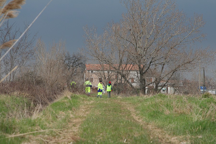 Foto 12 di 30