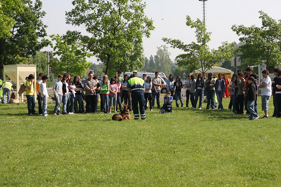 Foto 17 di 60