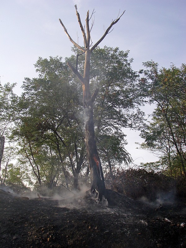 Foto 11 di 30