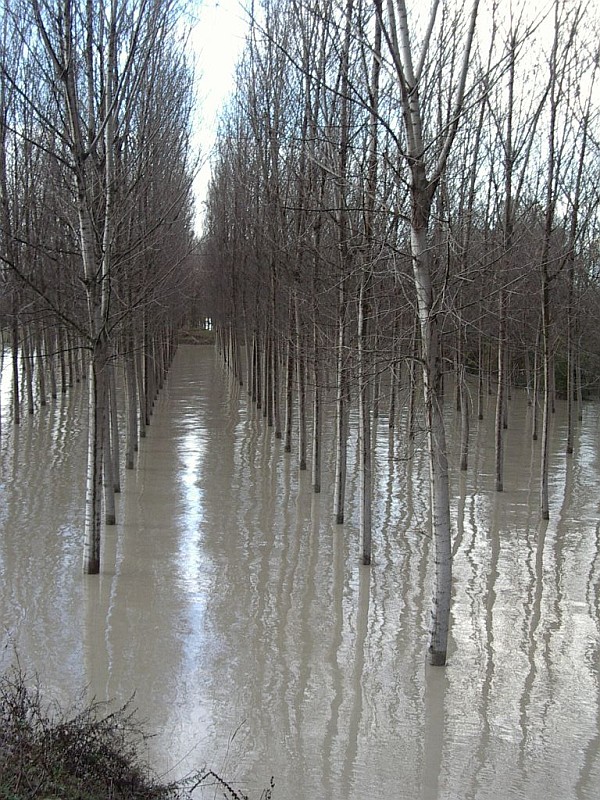 Foto 20 di 30