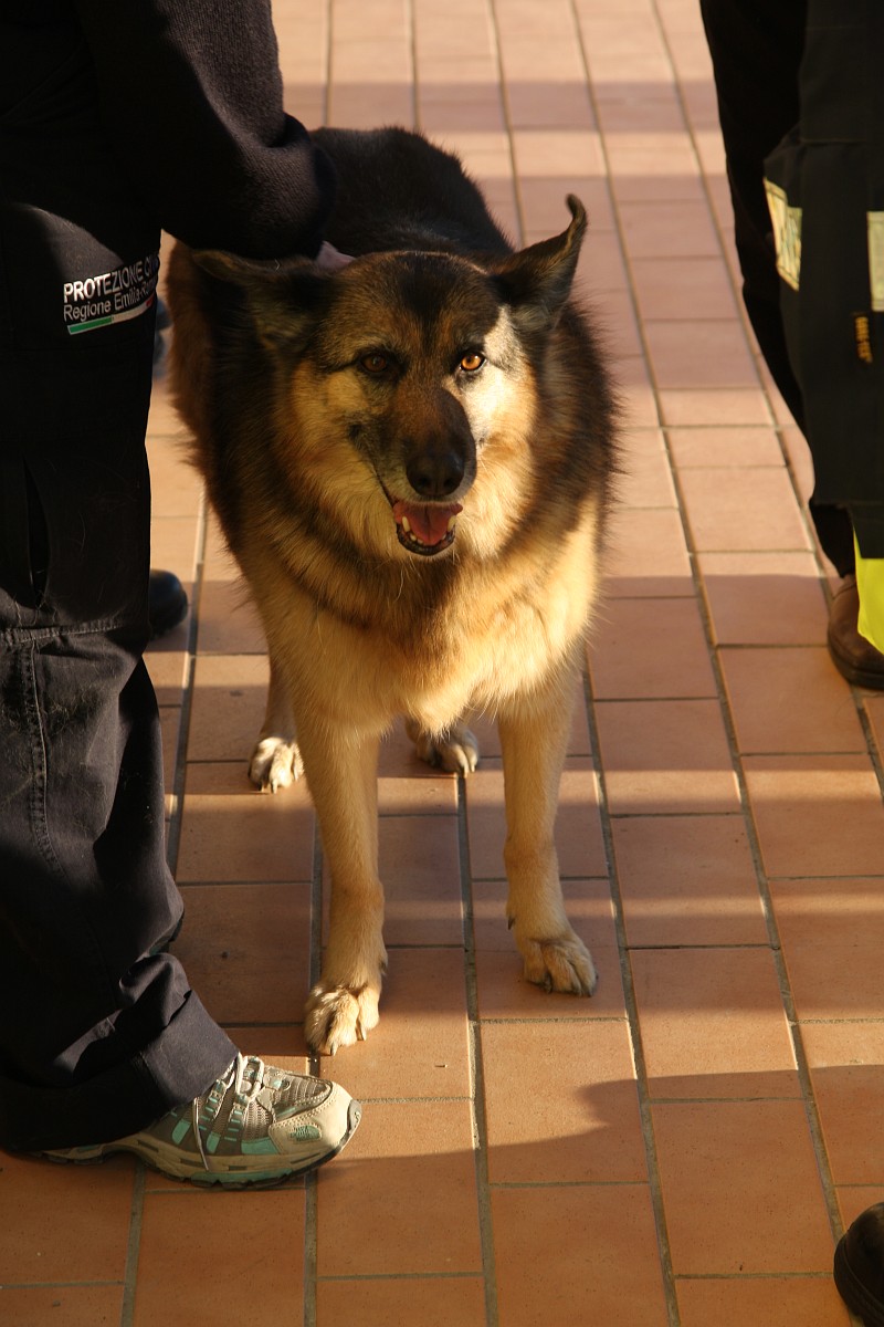 Foto 03 di 15
