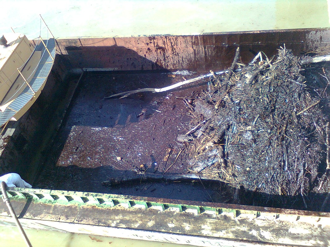 Foto 12 di 15