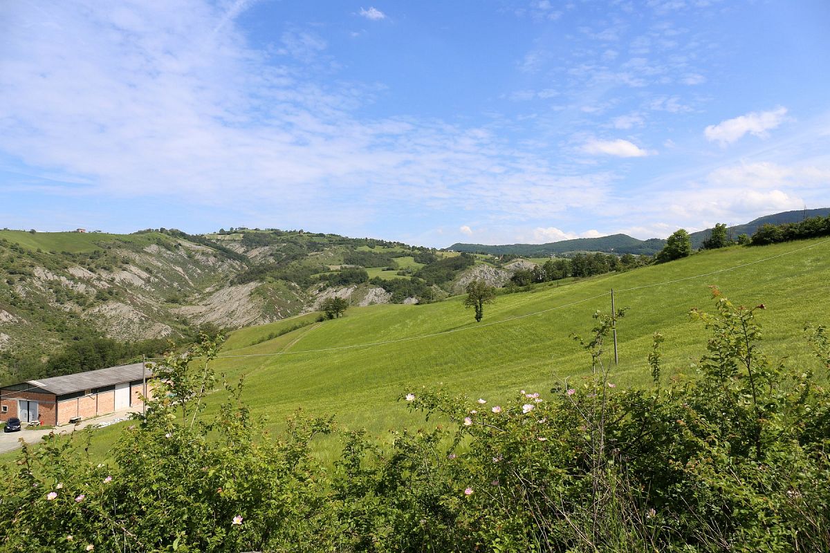 Foto 01 di 19