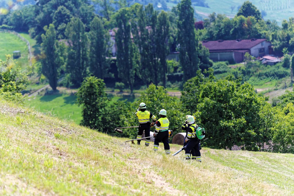 Foto 43 di 66