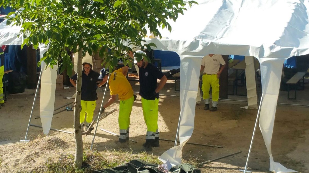 Foto 11 di 58