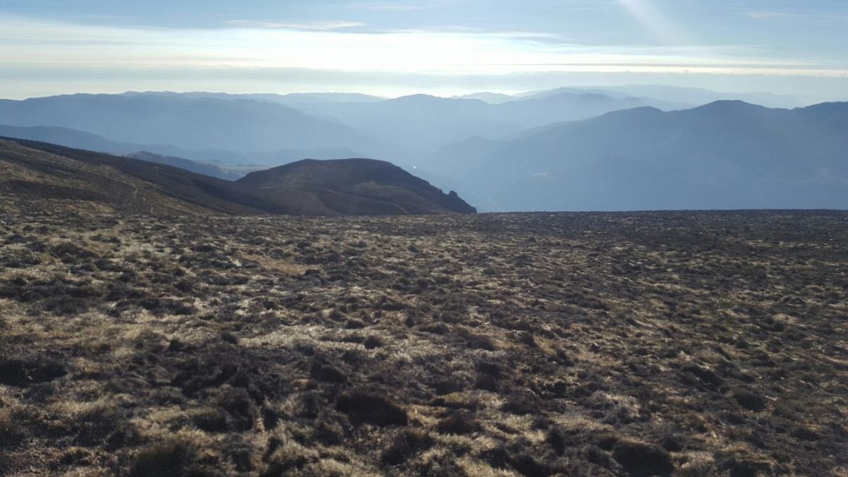 Foto 11 di 14