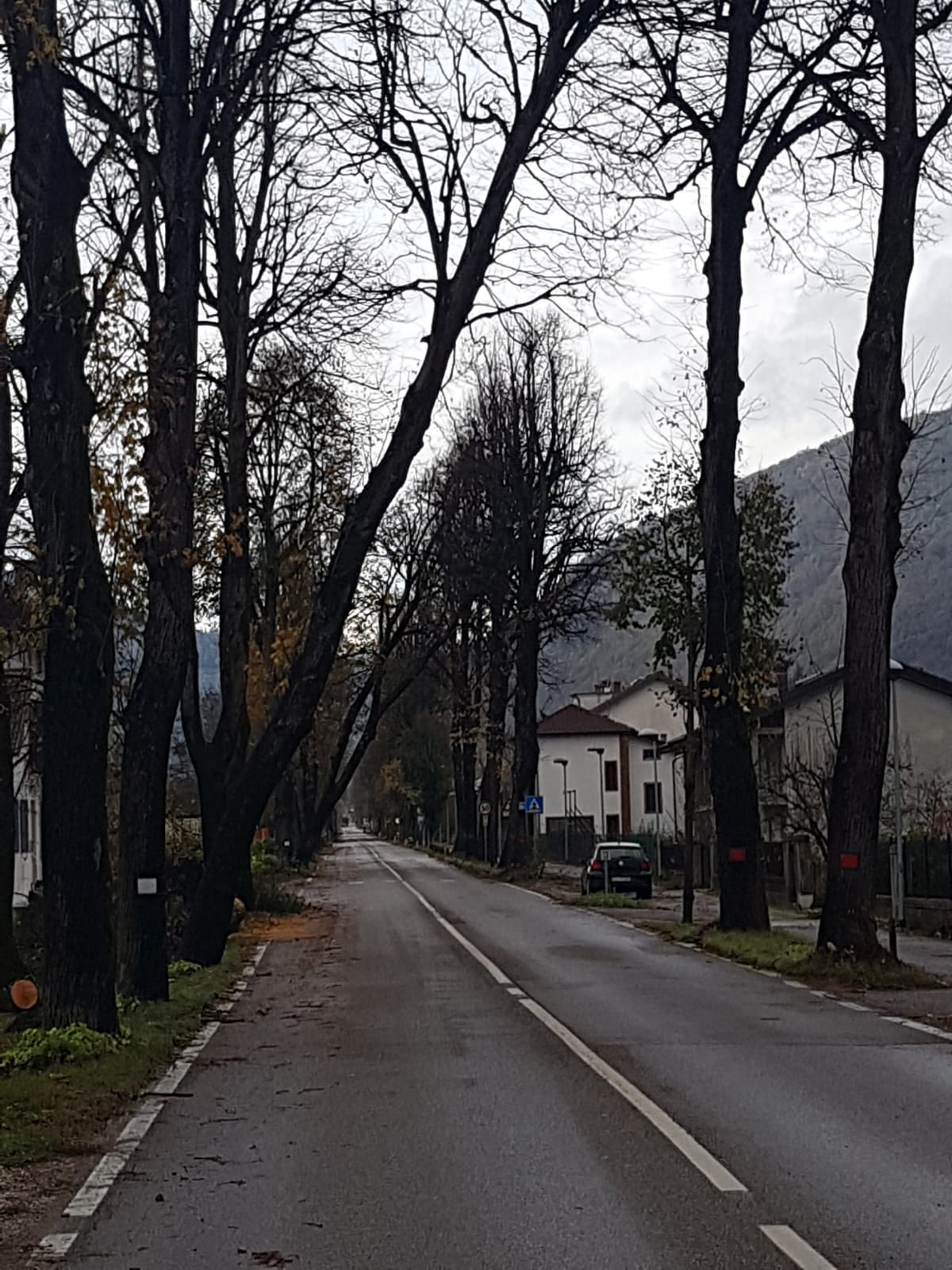 Foto 04 di 39