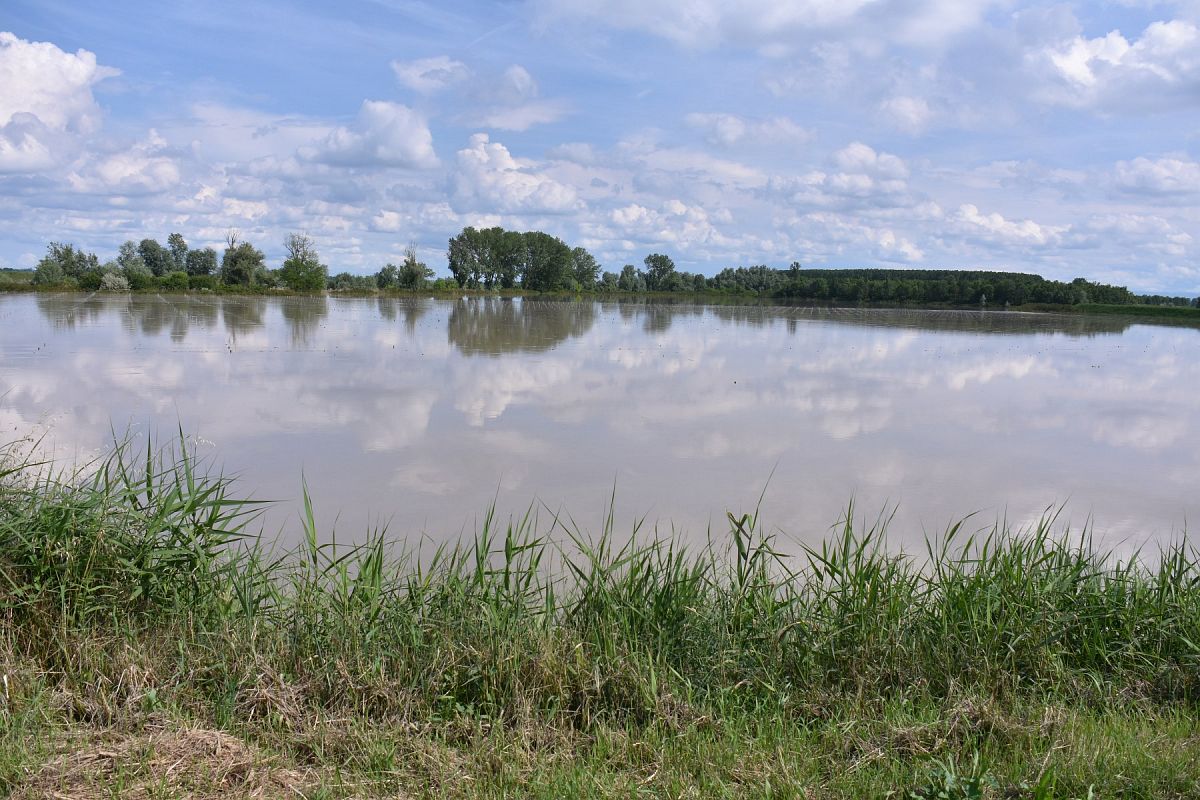 Foto 02 di 35