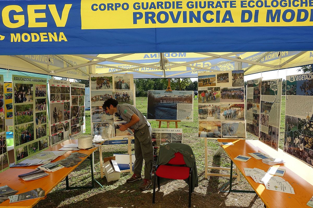 Foto 33 di 39
