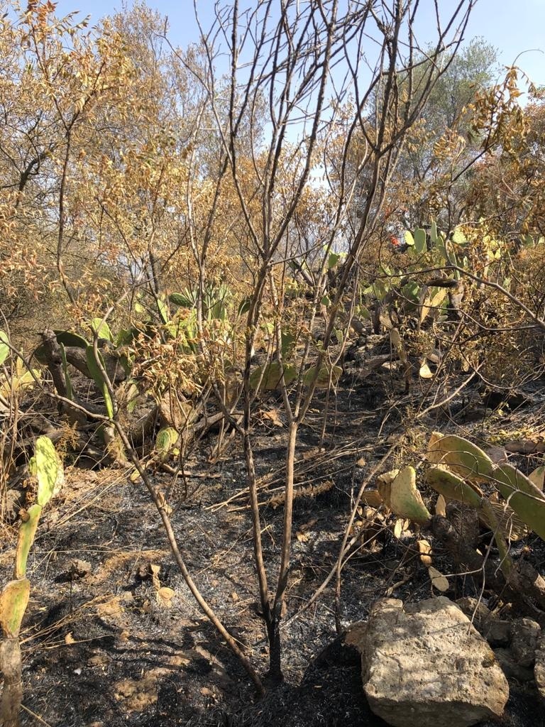 Foto 056 di 210