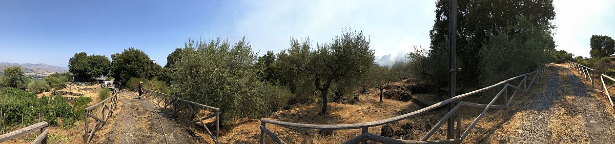 Foto 47 di 89