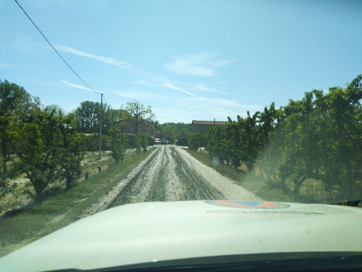 Foto 04 di 54