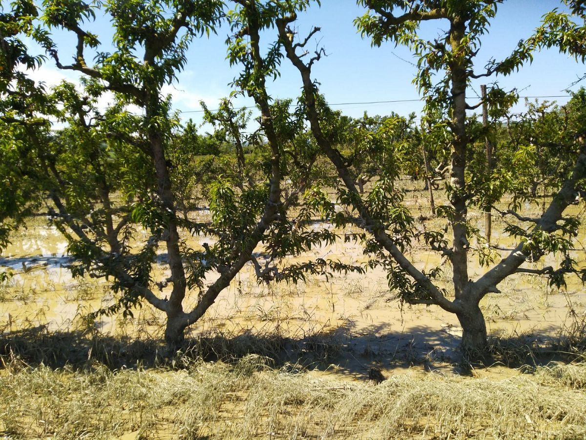 Foto 05 di 54