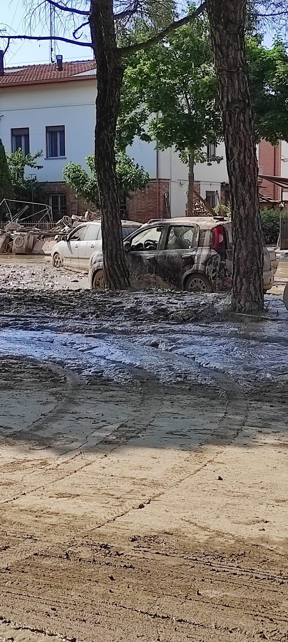 Foto 039 di 140